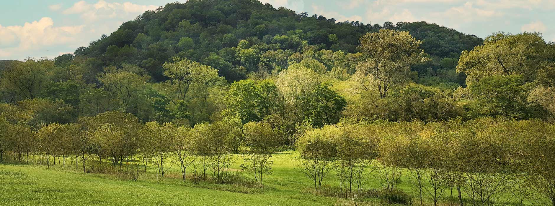 Scenic Land in Southwest WI.