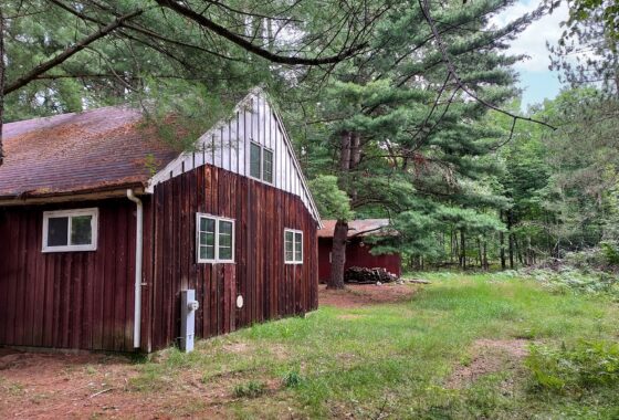 3 wooded acres with cabin for sale in Marinette County, WI