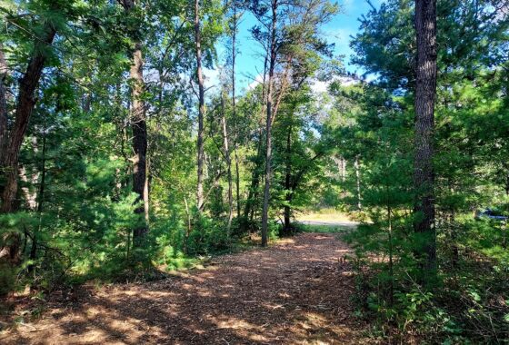 Adams County, WI land for sale near Wilake Dells